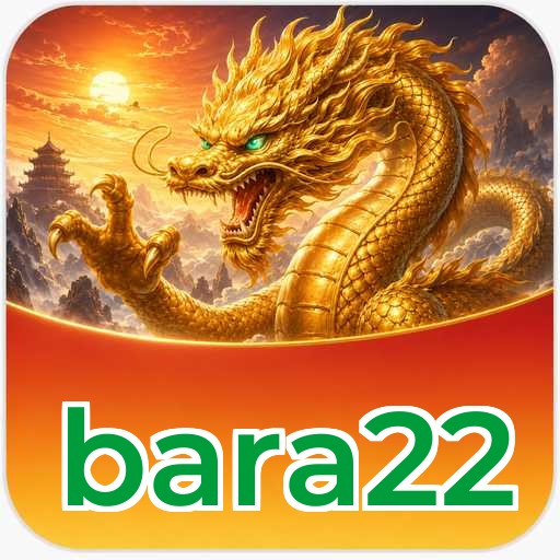 Overview bara22