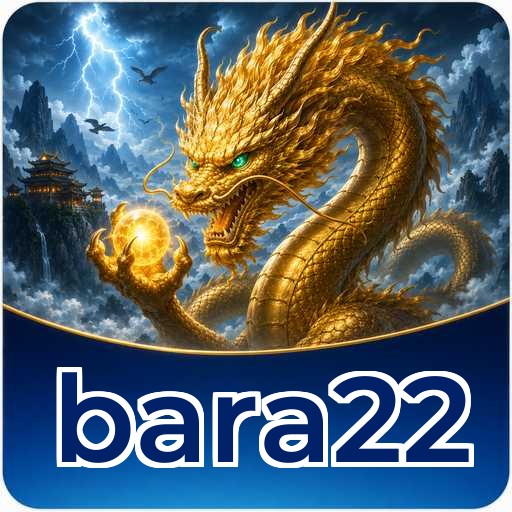 Expert Verdict - bara22 Final Assessment